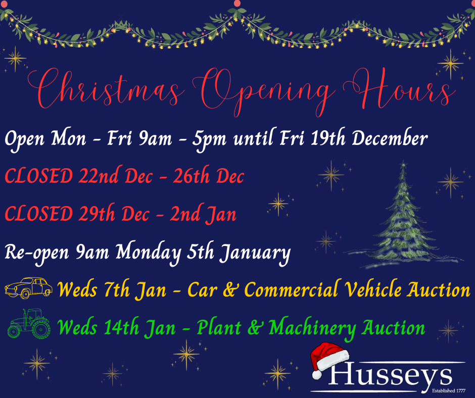 Christmas opening hours